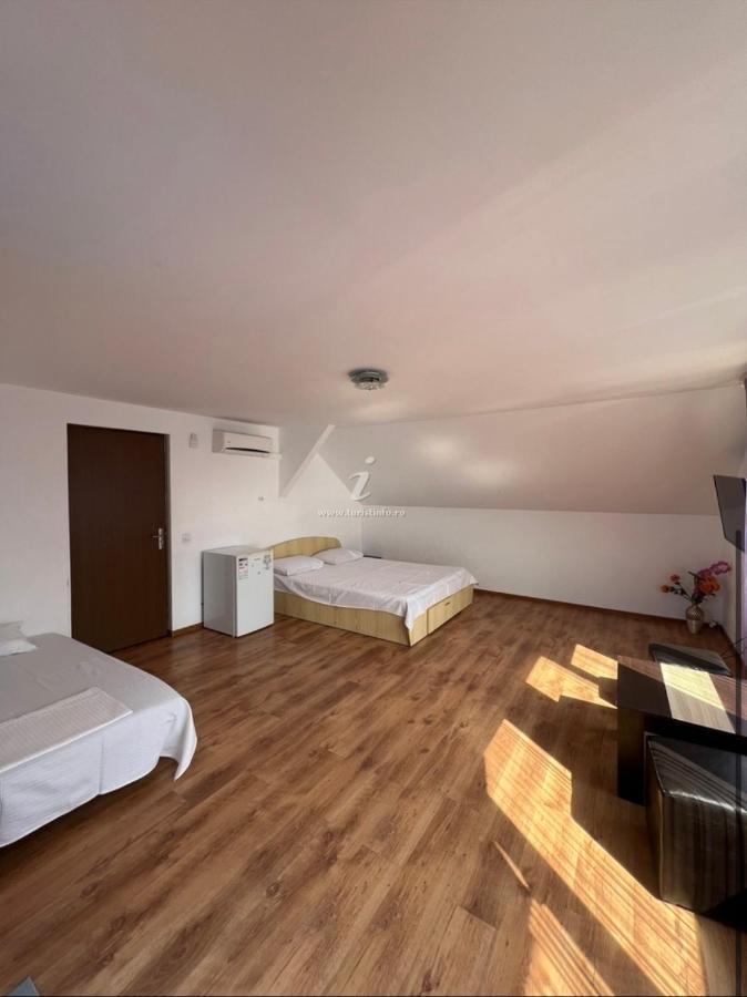 Отель Vila George Костинешти Экстерьер фото