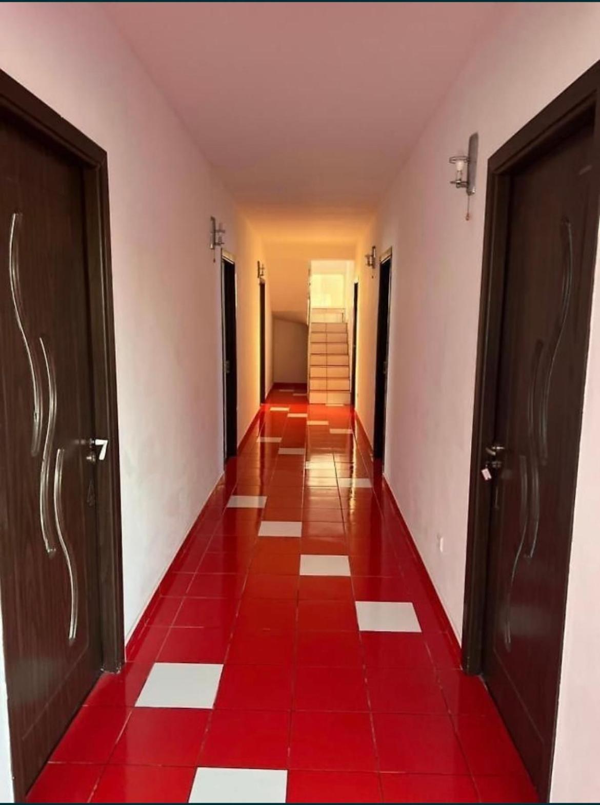 Отель Vila George Костинешти Экстерьер фото